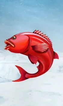 Ice Fishing